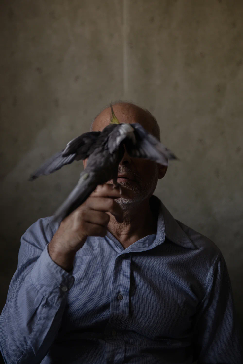 Transparent Curtains; Aging, Identity, and Visibility by Oded Wagenstein