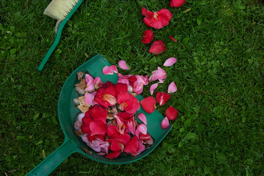 More Than You Could Ever Know by Liv Mann Tremblay: Exploring Human Connection to Nature