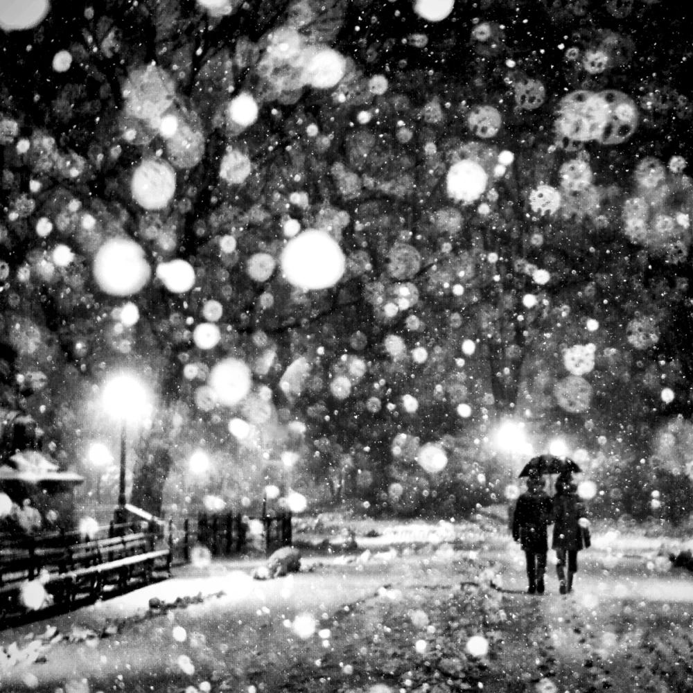 Wonderland by Russ Rowland: Snowstorms Transforming New York City