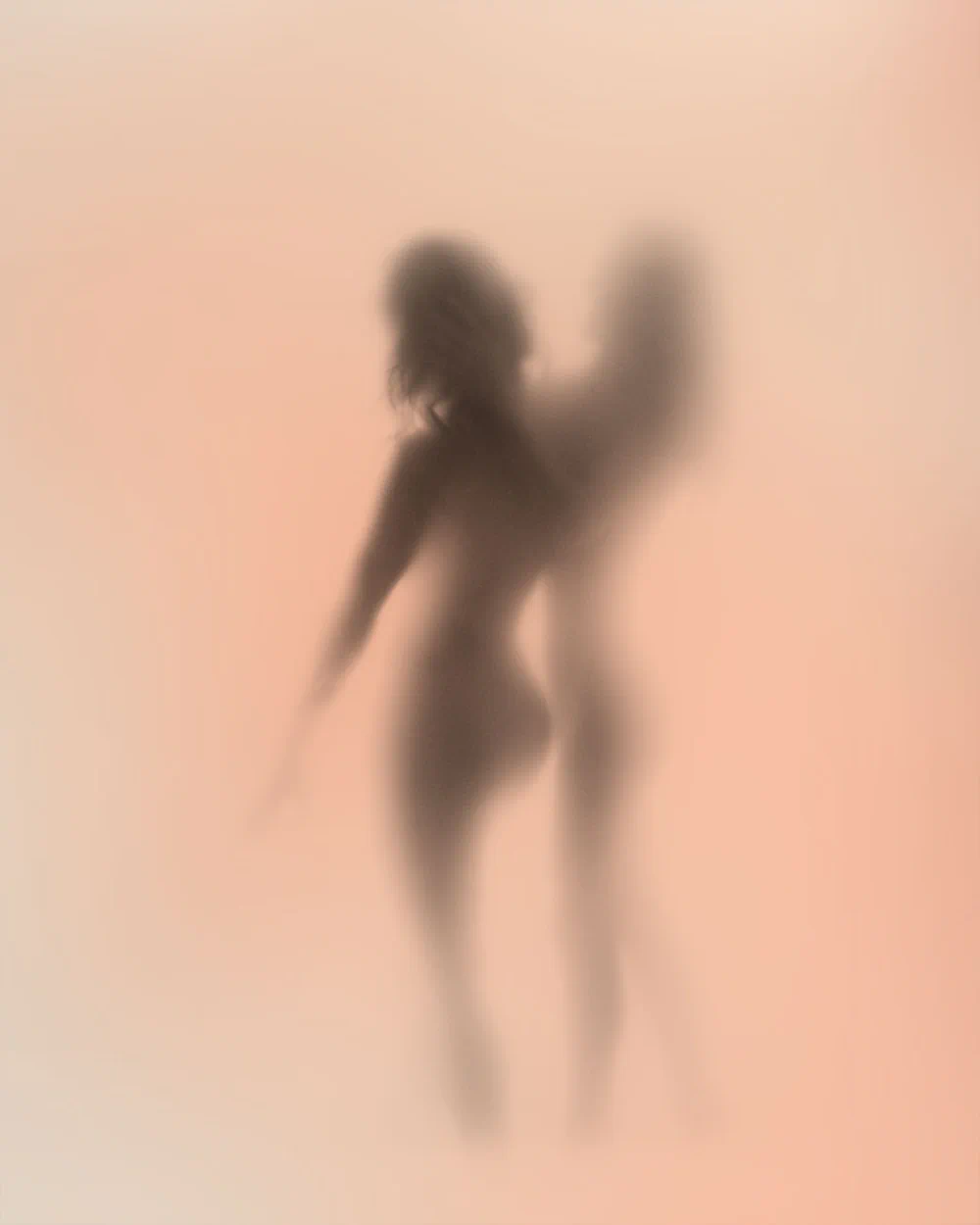 David Perelman-Hall Presents Forms: The Body in Silhouette