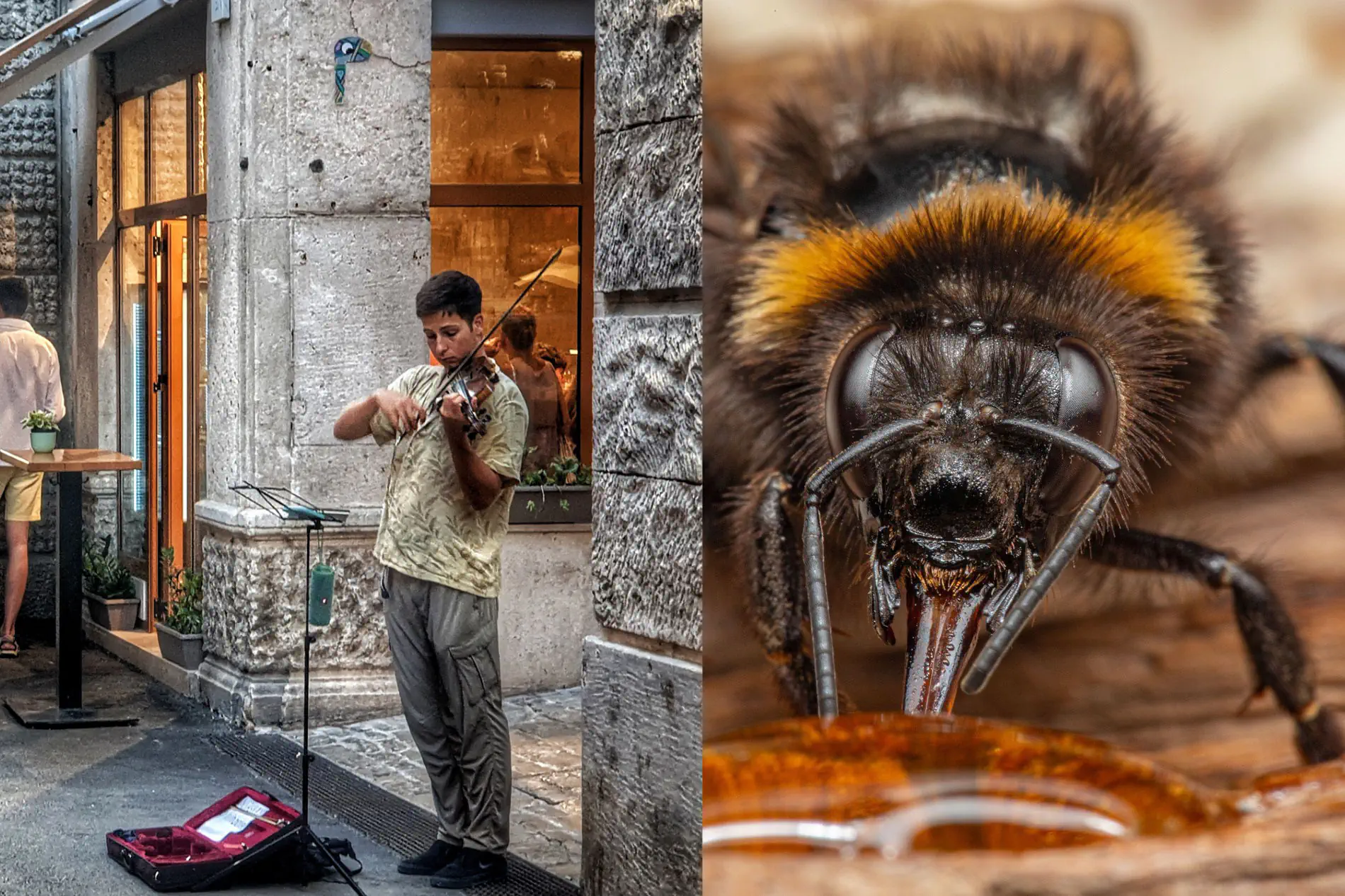 Gurushots: Street Photography  and Captivating Macro